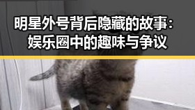 明星外号背后隐藏的故事：娱乐圈中的趣味与争议