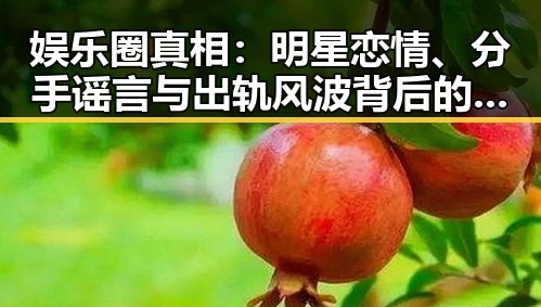 娱乐圈真相：明星恋情、分手谣言与出轨风波背后的讨论热潮