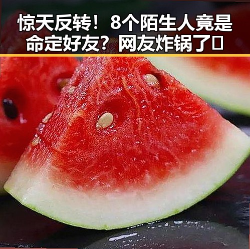 惊天反转！8个陌生人竟是命定好友？网友炸锅了🔥